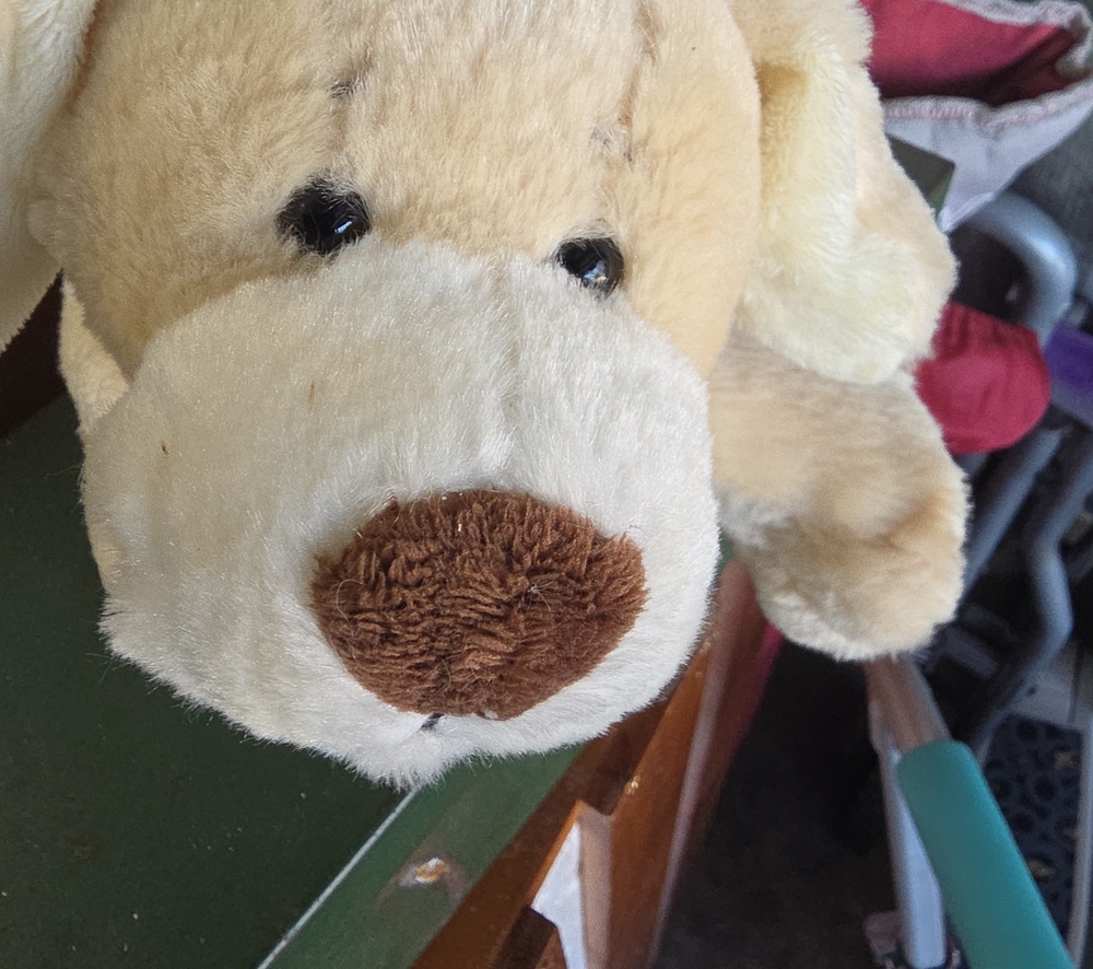 Dog plush toy Ganz